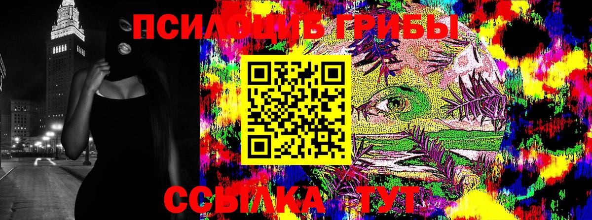 Галлюциногенные грибы Cubensis Большой Камень